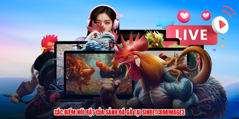 Các điểm nổi bật của sảnh đá gà tại SINBETcomimage3