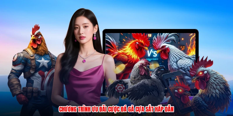 Chương trình ưu đãi cược đá gà cựa sắt hấp dẫn