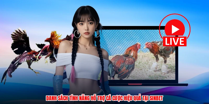 Danh sách tính năng hỗ trợ cá cược hiệu quả tại SINBET