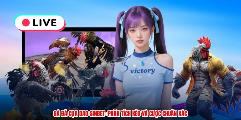 Gà Đá Cựa Dao SINBET: Phân Tích Kèo Và Cược Chuẩn Xác