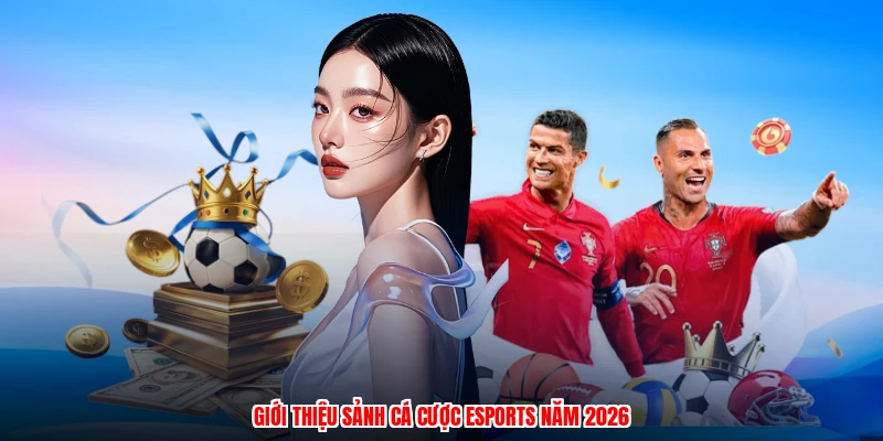 Giới thiệu sảnh cá cược esports năm 2026