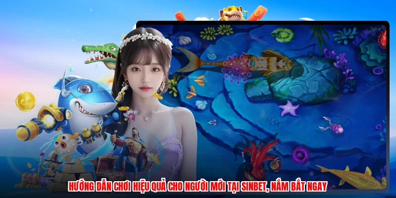 Hướng dẫn chơi hiệu quả cho người mới tại SINBET, nắm bắt ngay