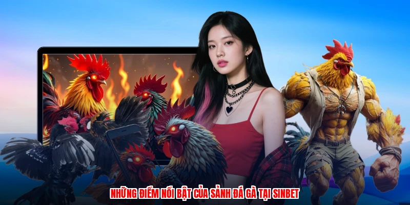 Những điểm nổi bật của sảnh đá gà tại SINBET