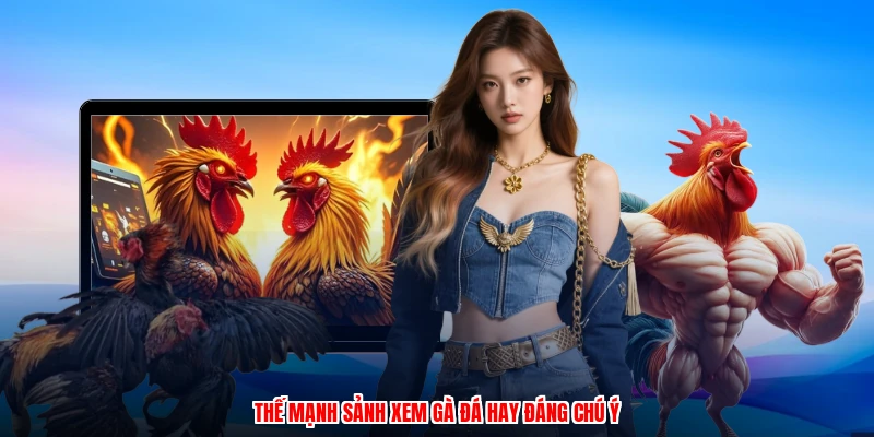 Thế mạnh sảnh xem gà đá hay đáng chú ý