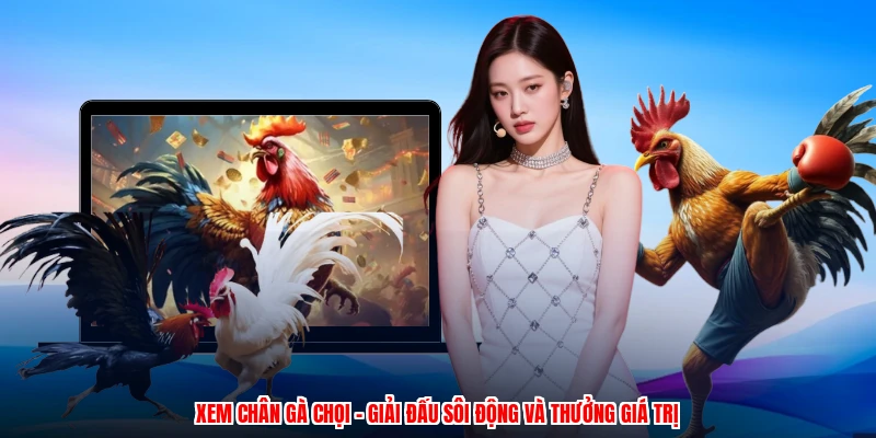 Xem Chân Gà Chọi - Giải Đấu Sôi Động Và Thưởng Giá Trị