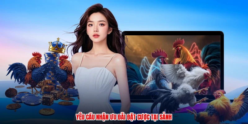 Yêu cầu nhận ưu đãi đặt cược tại sảnh